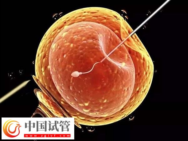 太原市中心医院做第二代试管婴儿流程：一促二移历时4月
