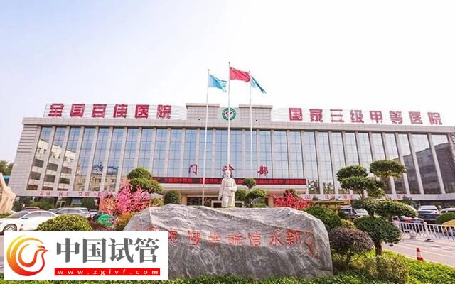 漯河市中心医院试管婴儿费用表，2024总花费明细实例参考