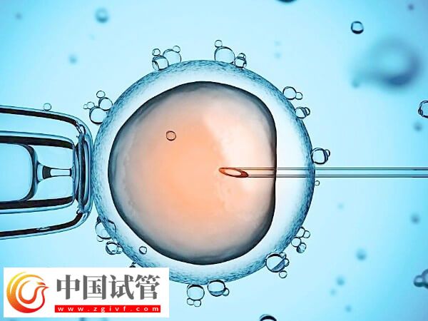 三代试管和一代试管成功率哪个高(图1)
