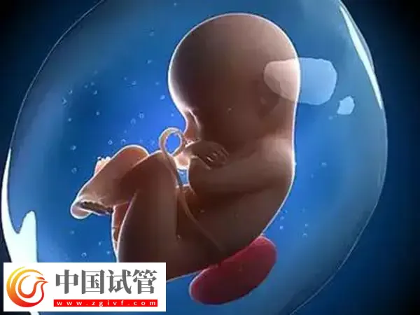 hpv阳性能否做试管婴儿(图1)