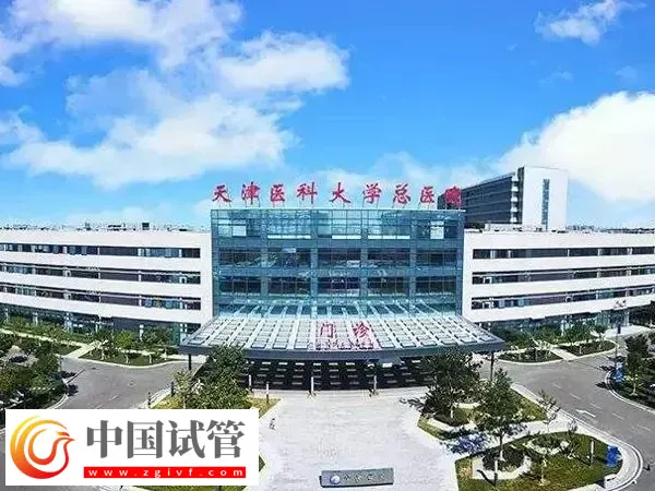 天津医科大学总医院试管婴儿流程是什么