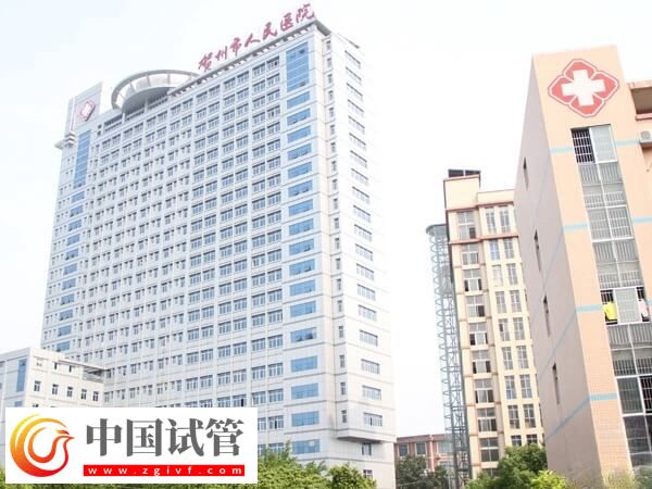 贺州能不能做试管婴儿