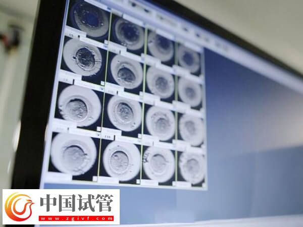 胚胎8细胞好还是9细胞好(图1)