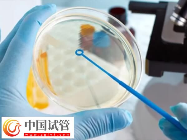 试管婴儿建档后流程是怎么样的(图1)
