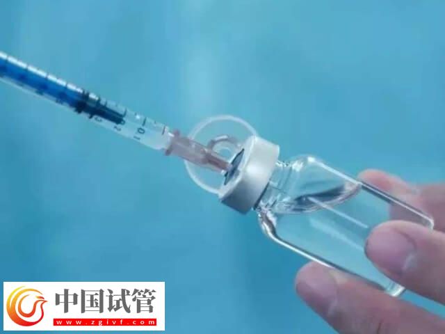 取17个卵配几个胚胎(图1)