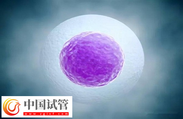 单身在马来西亚做试管违不违法(图2)