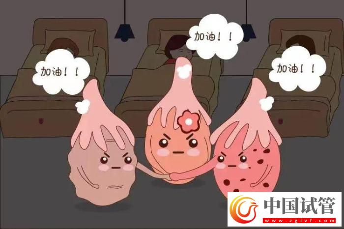 试管婴儿有哪些出乎意料的概念？(图3)