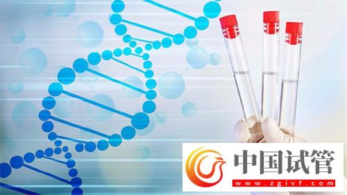 54岁做供卵试管的案例分析！高龄供卵试管如何调理身体(图1)