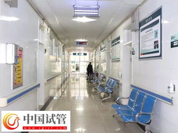 囊胚移植俩为什么成功一个单胎吗(图1)