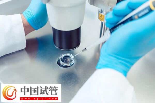 试管取卵多少合适(图1)