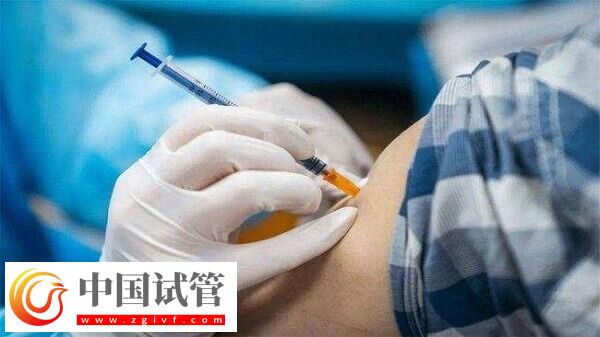 试管婴儿什么情况下打乐芮(图1)