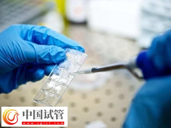 囊胚4aa好还是5bb好(图1)