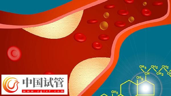 血常规五项是哪五项(图1)