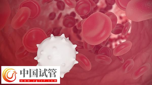 血常规五项是哪五项(图2)