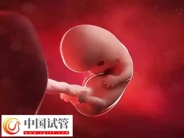 孕妇怀孕八月注意事项有哪些(图1)