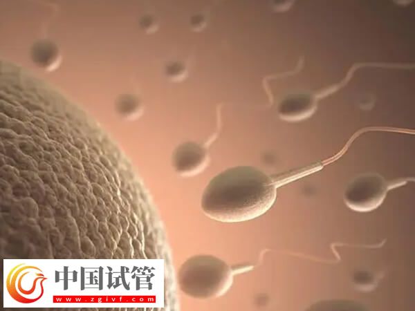 试管移植几次成功率高(图1)