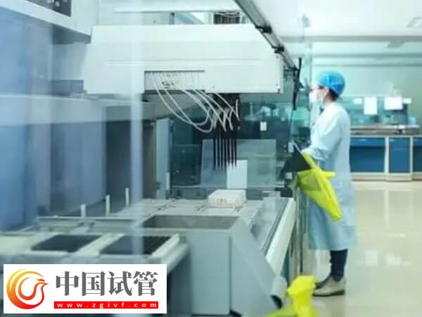 27岁试管婴儿成功率有多少(图1)