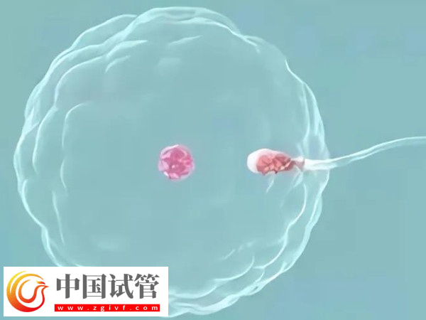 高龄试管有什么风险(图1)