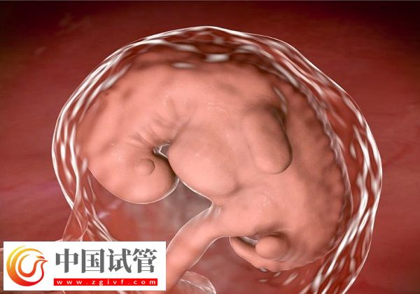 人授两次没成功还有无必要做第三次(图1)