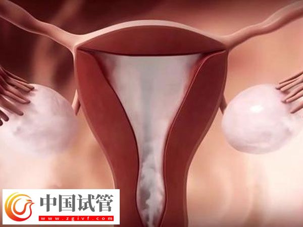 人授两次没成功还有无必要做第三次(图2)