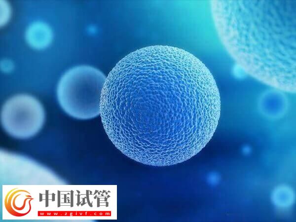 超长方案卵泡少是好事还是坏事(图1)