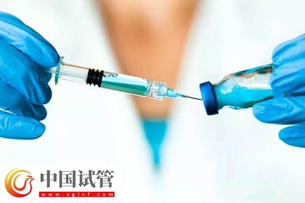 超长方案卵泡少是好事还是坏事(图2)