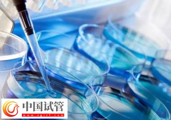 怎样提高胚胎移植着床率(图1)