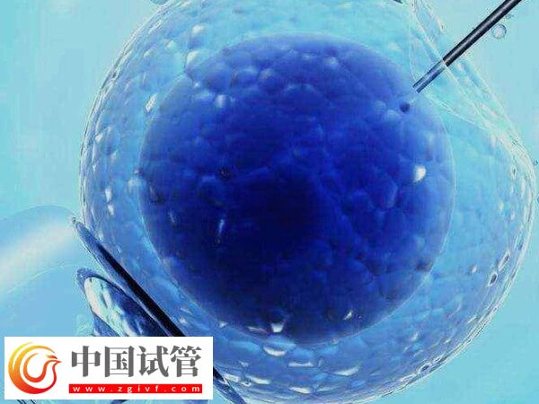 试管婴儿治疗期间可不可以同房(图1)