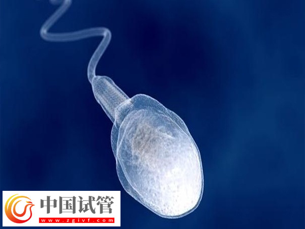 做供精试管可否自行选择相貌(图1)