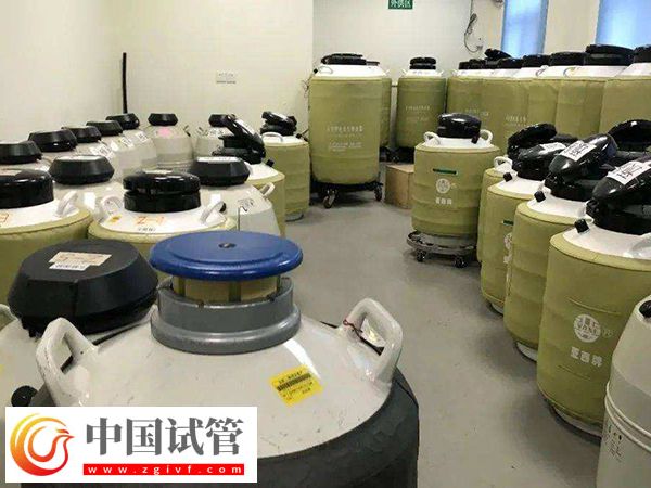 做供精试管可否自行选择相貌(图2)