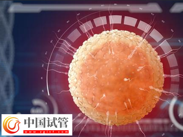 实施供精是否可以选择长相(图2)