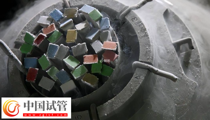 实施供精是否可以选择长相(图3)