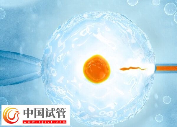 囊胚是4开头好还是5开头好(图1)