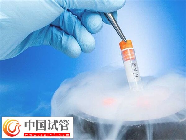 试管冻精费用是多少(图1)