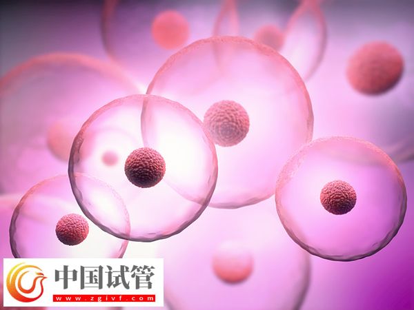 试管促排针和促排药哪种好(图1)