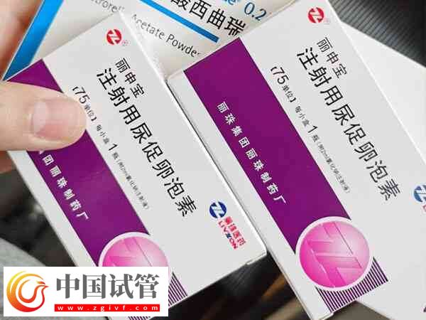 肥胖人群做试管为何要减肥(图1)