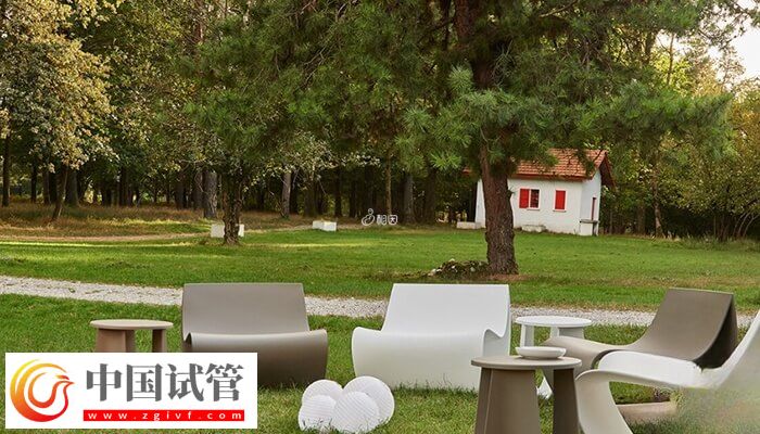 胚胎移植前如何调理内膜(图2)