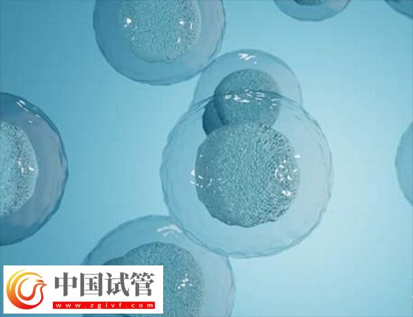 试管怎样让卵泡长均匀(图2)