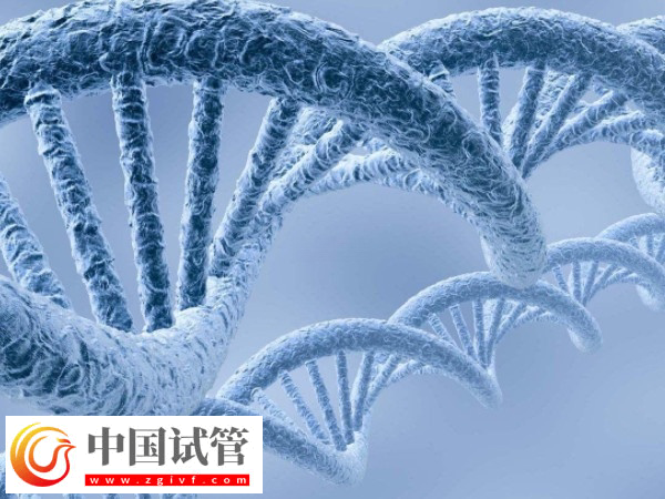做供精成功后是否要做无创DNA(图1)
