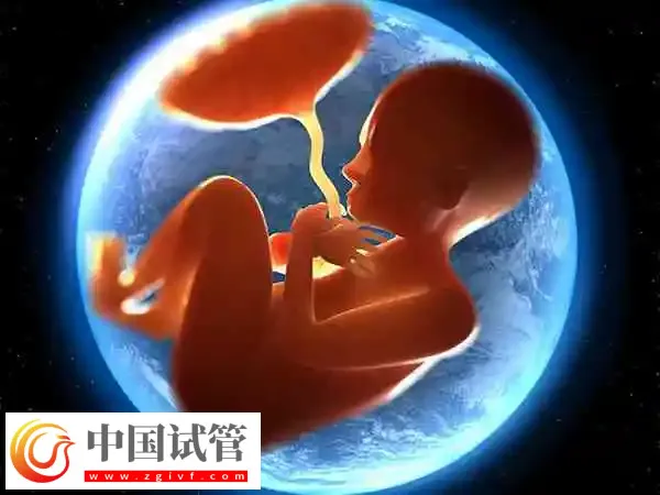 做供精成功后是否要做无创DNA(图2)