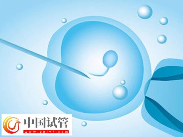 试管失败是不是等于流产(图1)