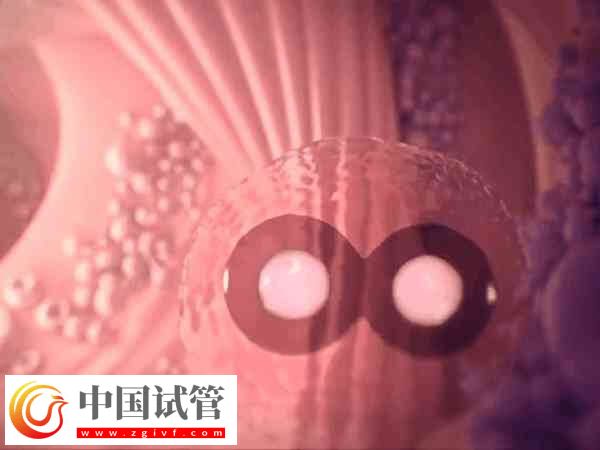 试管失败是不是等于流产(图2)