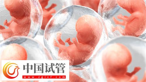 揭秘试管供卵自怀的最高年龄(图1)