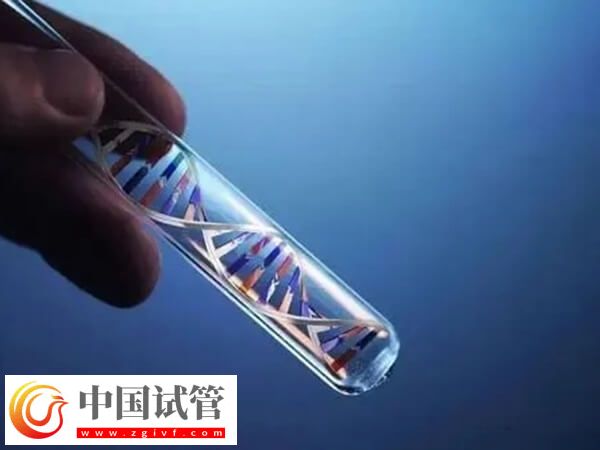 试管婴儿适用于哪些人(图1)