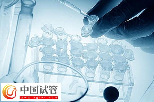 做试管婴儿的时间怎么安排(图3)
