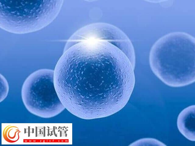 取卵18个能配多少胚胎(图1)