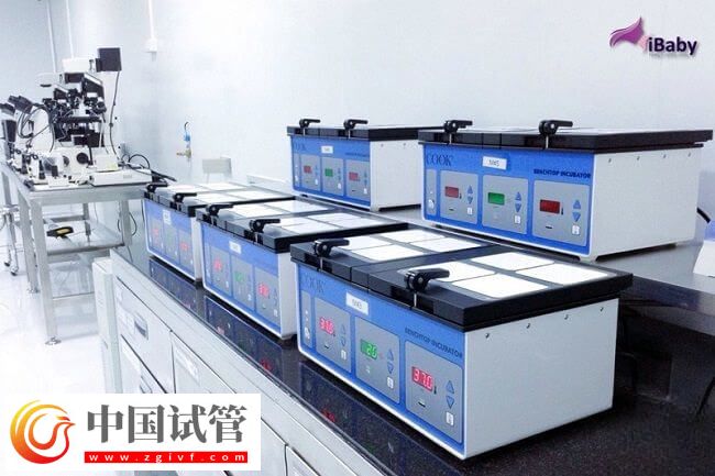 DNAAF2基因突变是什么情况(图1)