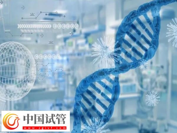 cep290基因突变做试管有没有用(图2)