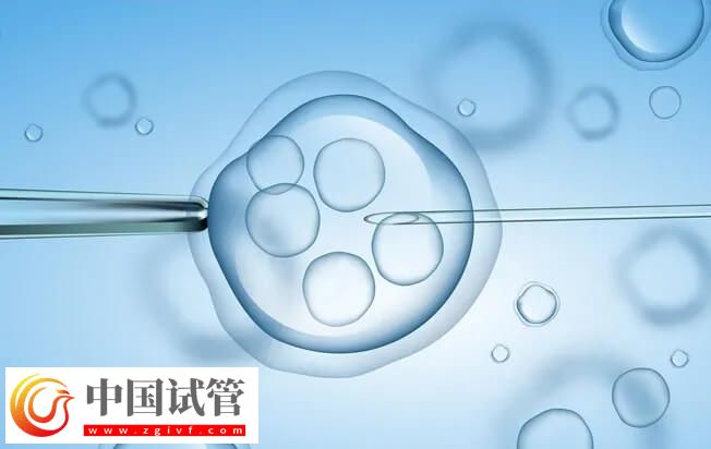 冻胚移植失败了是不是质量不好(图1)