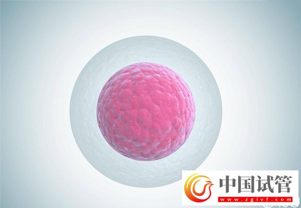 卵母细胞老化怀孕率低，太晚生宝宝试管也拯救不了(图1)